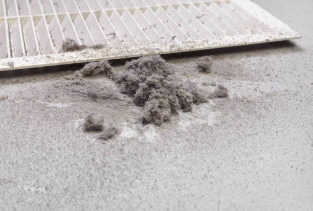 Best Duct Cleaning for Offices  in Franklin Grove, IL