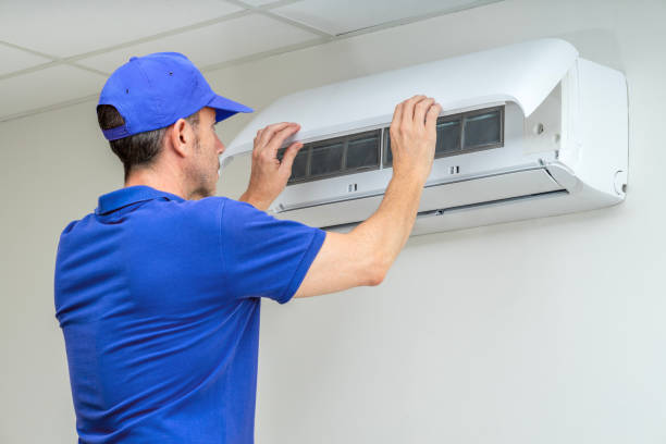 Air Duct Mold Removal in IL